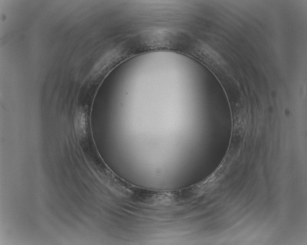 X0000069830124200605221217