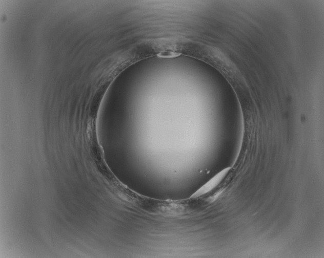 X0000069830125200605221217