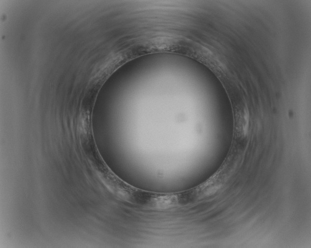 X0000069830126200605221216