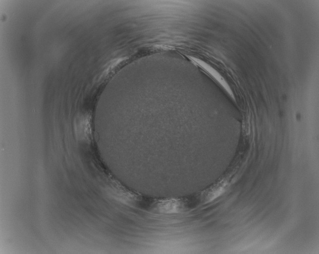 X0000069830127200605221216