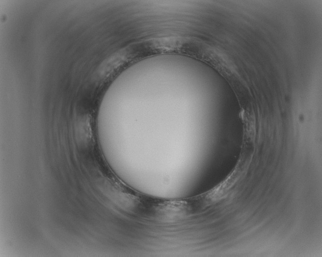 X0000069830128200605221216