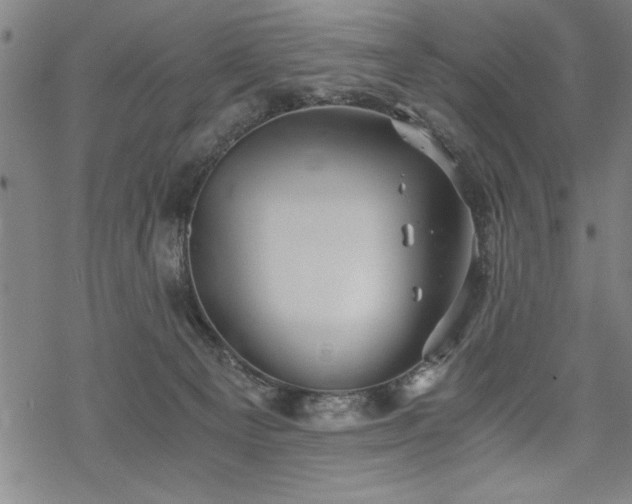 X0000069830129200605221216