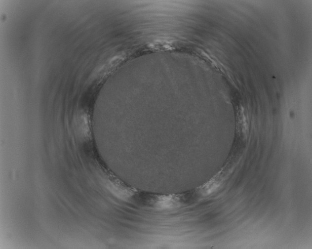 X0000069830130200605221216