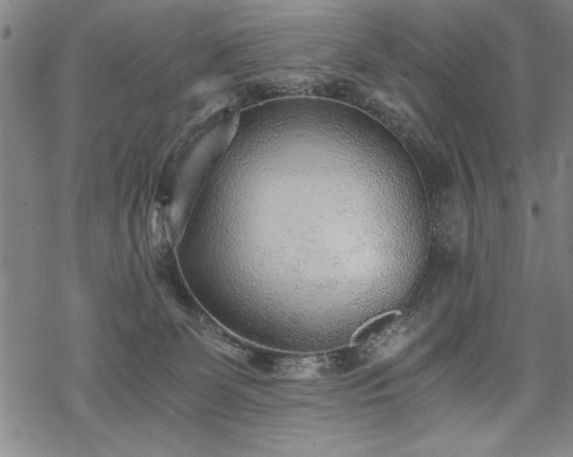 X0000069830131200605221216