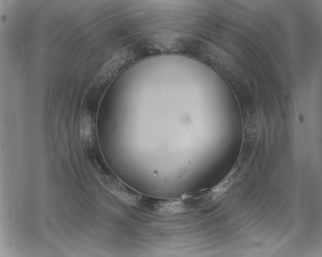 X0000069830132200605221216