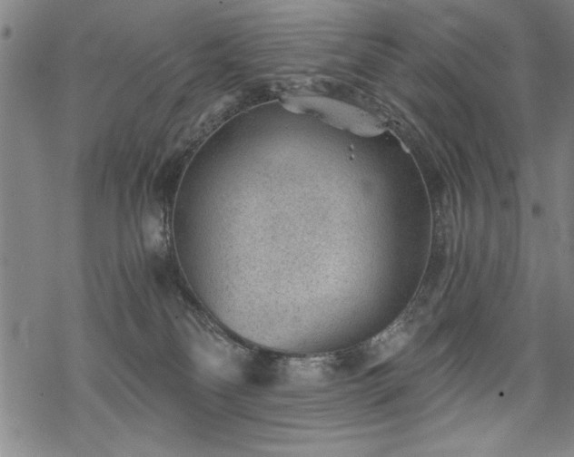 X0000069830134200605221216