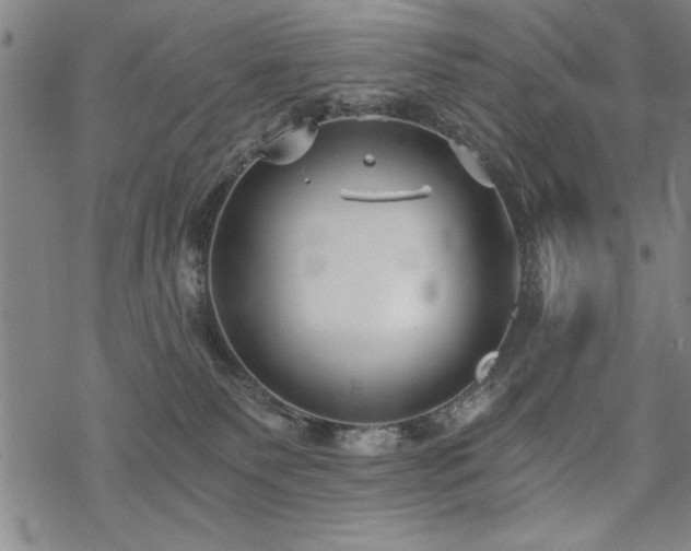 X0000069830135200605221216