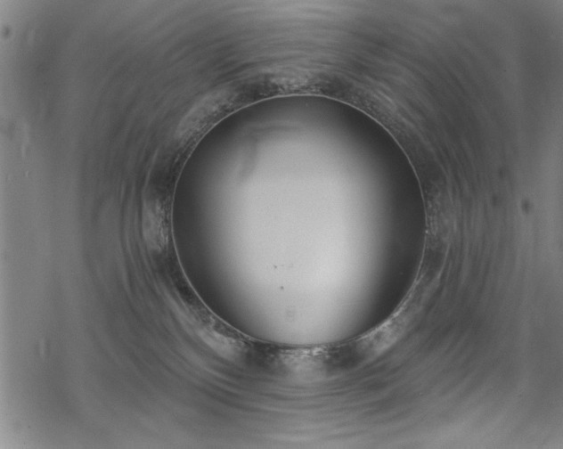 X0000069830136200605221216