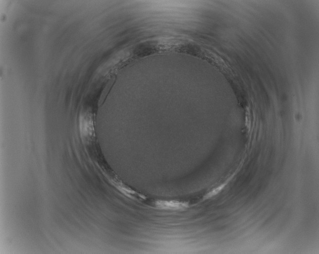 X0000069830137200605221216