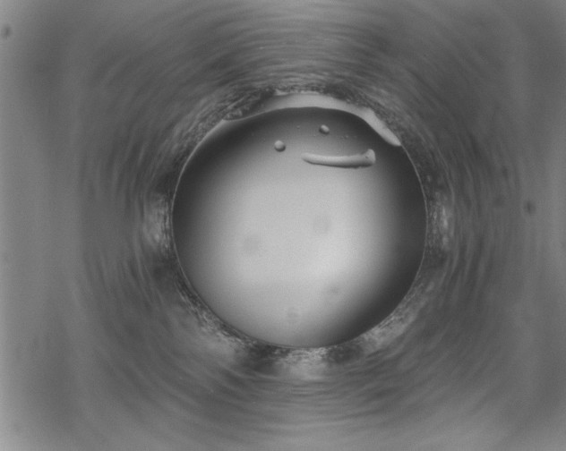 X0000069830138200605221216