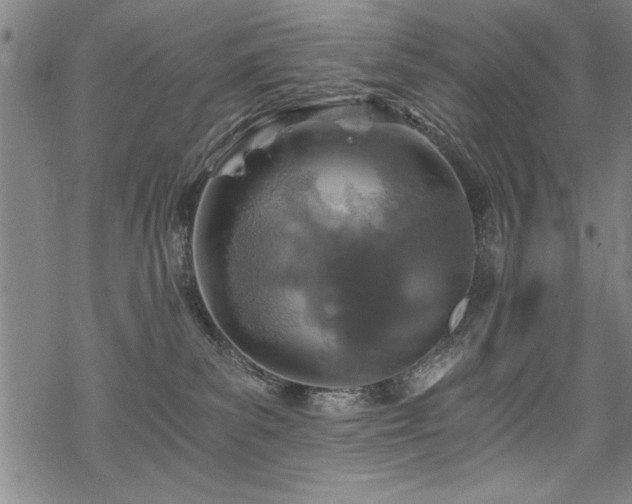 X0000069830139200605221216