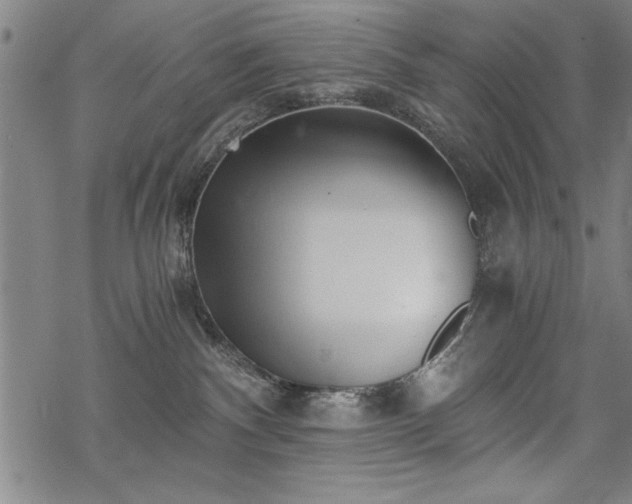 X0000069830140200605221216