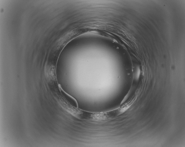 X0000069830141200605221216