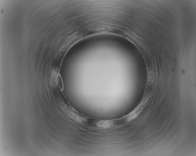 X0000069830142200605221216