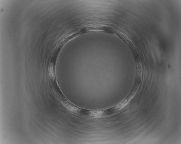 X0000069830143200605221216