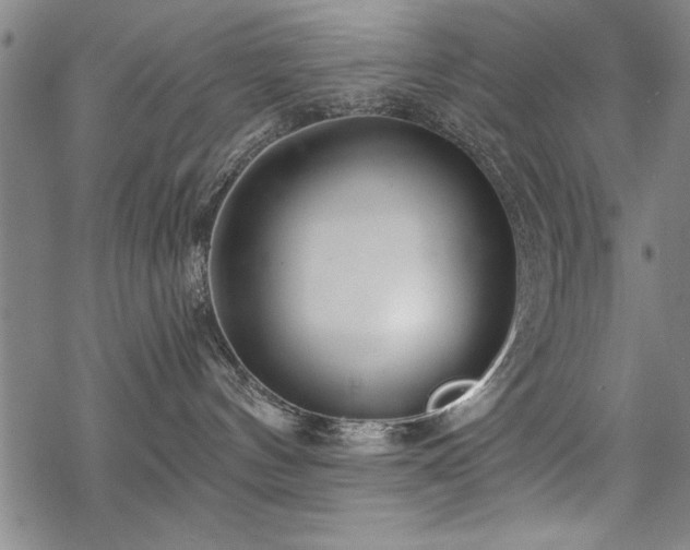 X0000069830144200605221216