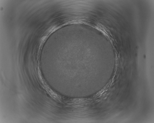 X0000069830145200605221215