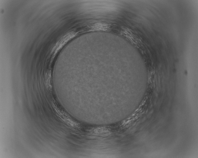 X0000069830146200605221215