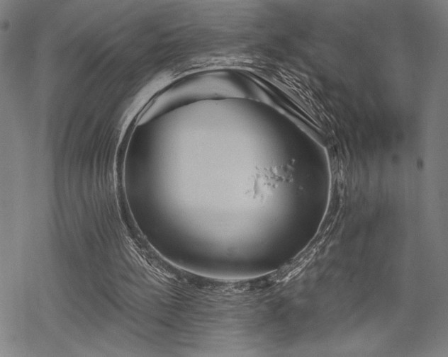 X0000069830148200605221215