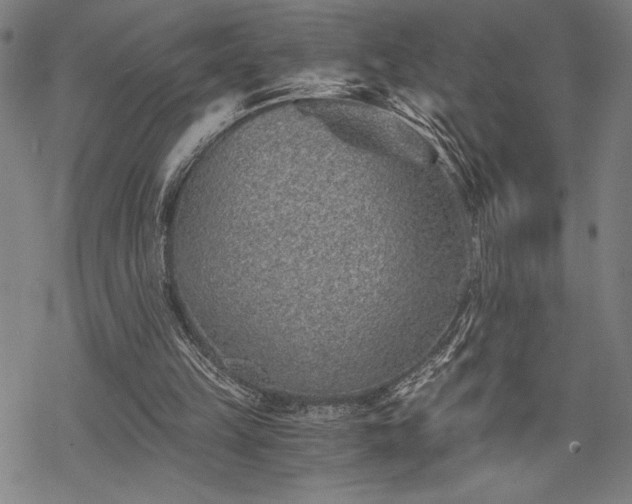 X0000069830149200605221215