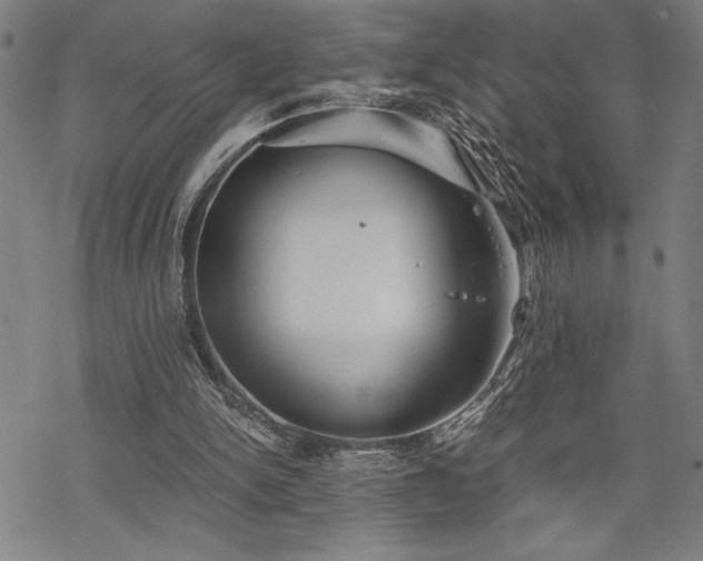 X0000069830150200605221215