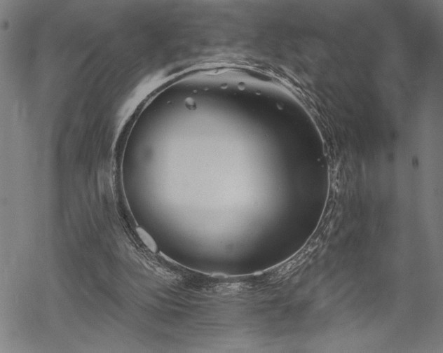 X0000069830152200605221216