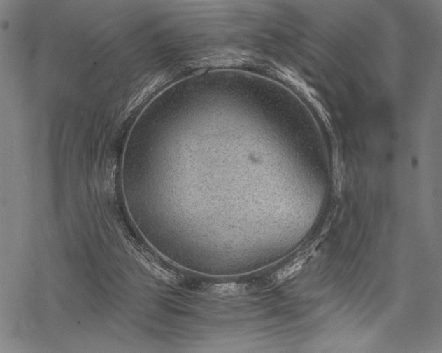 X0000069830153200605221216