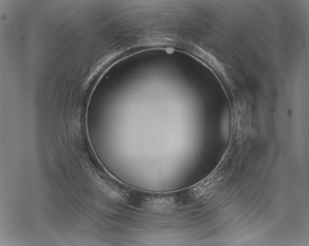 X0000069830155200605221216