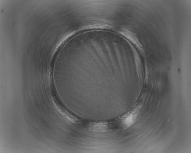 X0000069830156200605221216