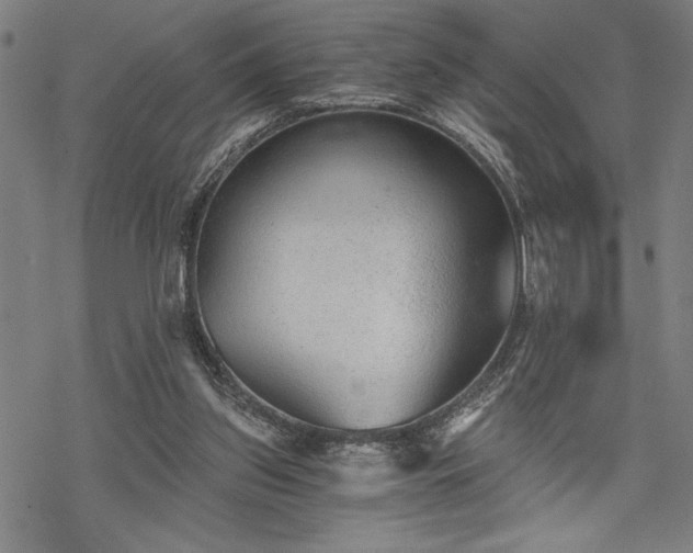 X0000069830157200605221216