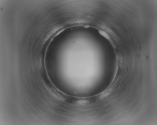 X0000069830158200605221216