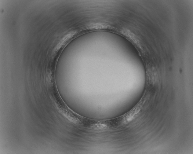 X0000069830159200605221216