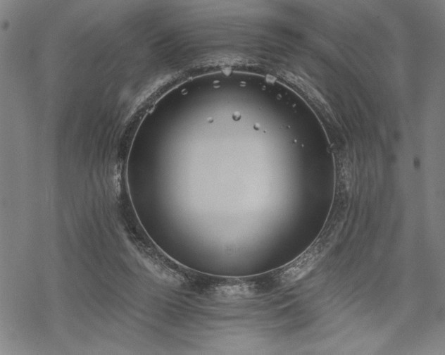 X0000069830160200605221216