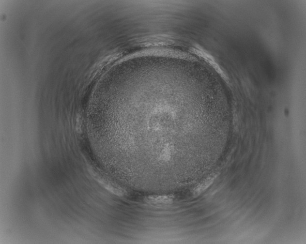 X0000069830161200605221216