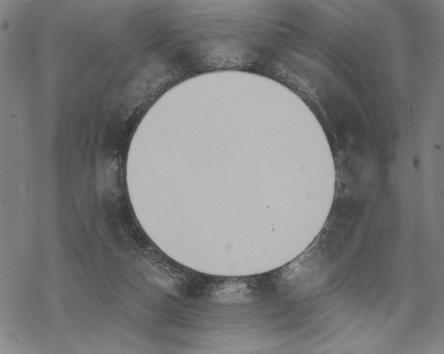 X0000069830162200605221216