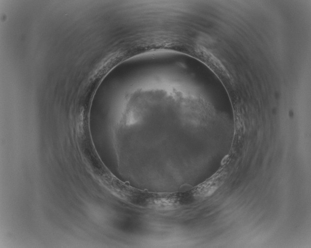 X0000069830163200605221216