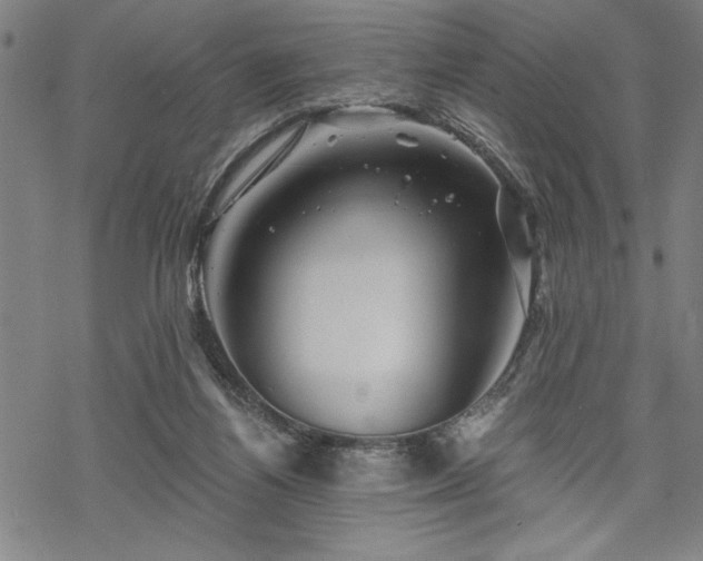 X0000069830164200605221216