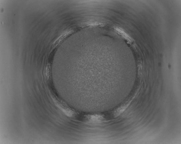 X0000069830165200605221216