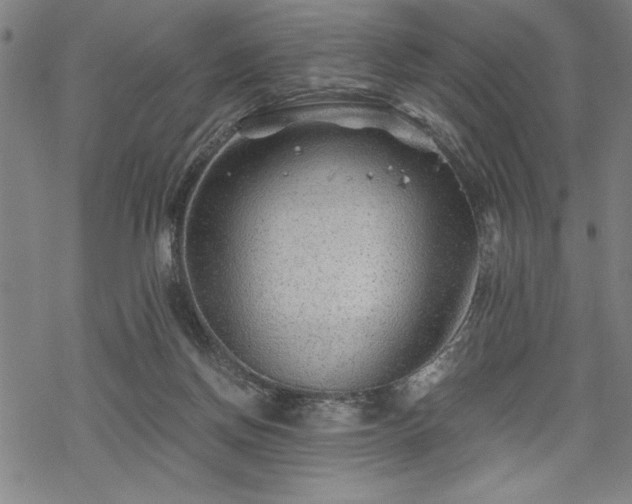 X0000069830166200605221216