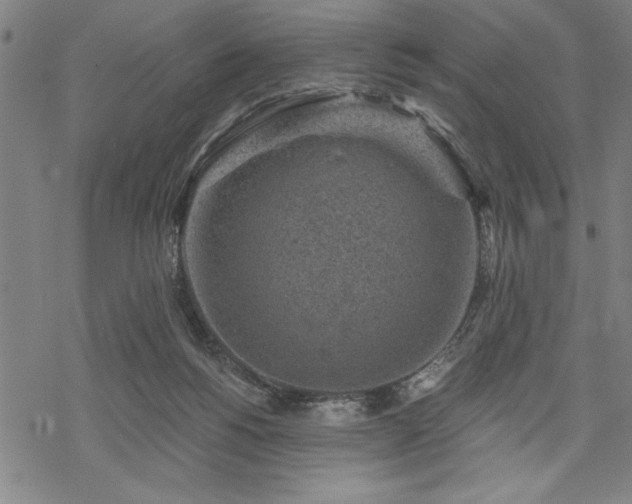 X0000069830168200605221216