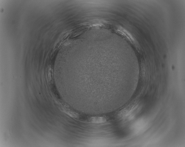 X0000069830169200605221216