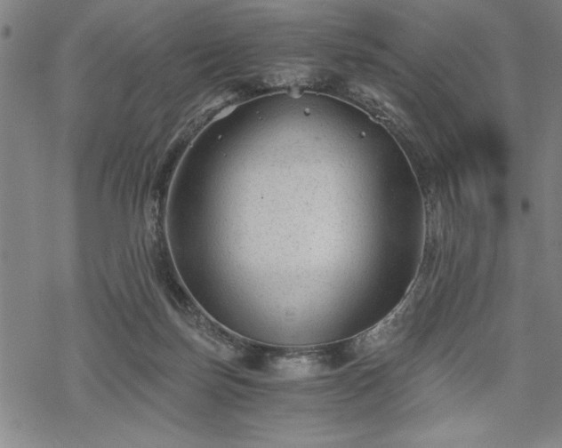 X0000069830171200605221216