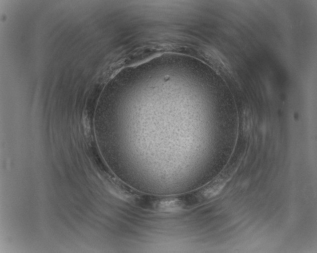 X0000069830173200605221216