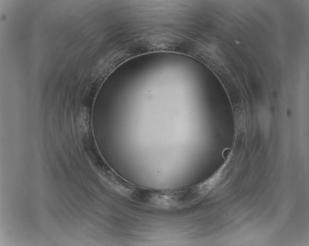 X0000069830174200605221216