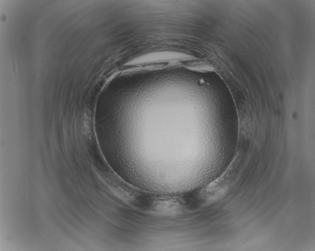 X0000069830175200605221216