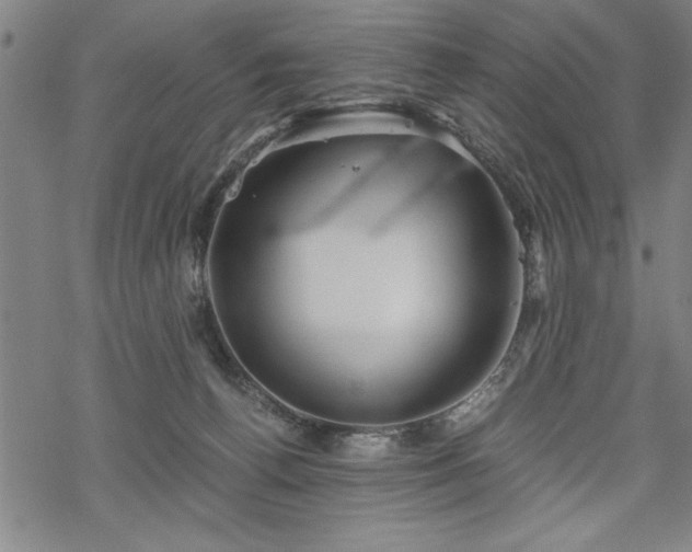 X0000069830176200605221216