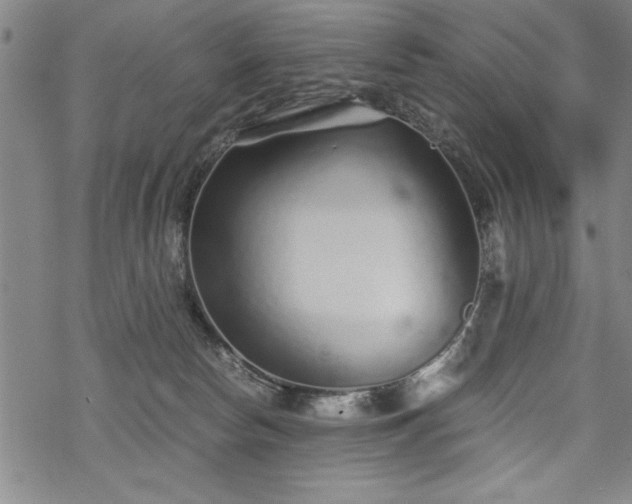 X0000069830178200605221216