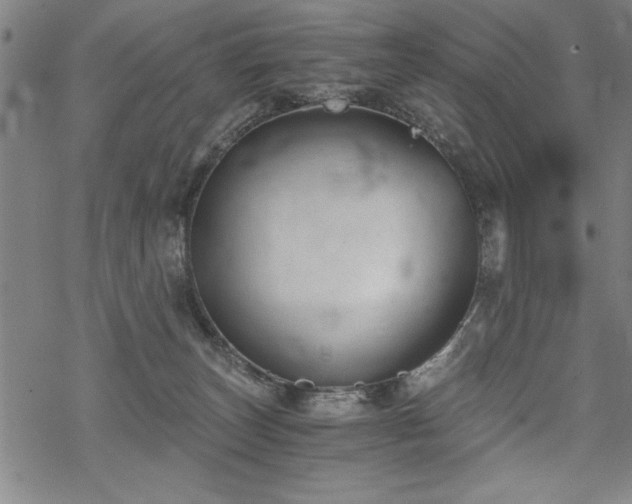 X0000069830179200605221216