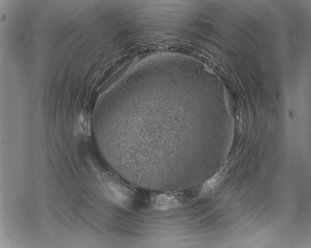 X0000069830180200605221216