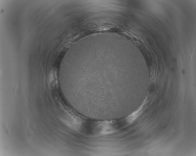 X0000069830182200605221216